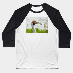 Brolga Baseball T-Shirt